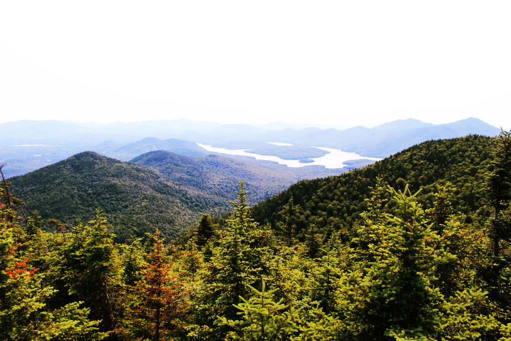 From the top of hill